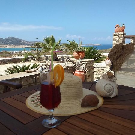 Despotiko View Villa Agios Georgios  Dış mekan fotoğraf